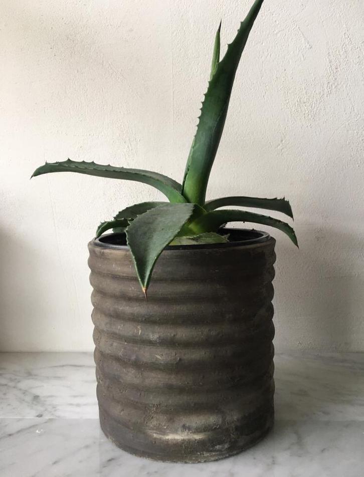 Robuuste luxe kwaliteit vintage bloempotten diverse retro, Tuin en Terras, Bloempotten, Zo goed als nieuw, Terracotta, Binnen