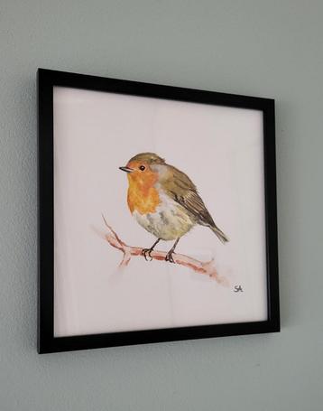 Schilderij Roodborstje - eigen werk - aquarel beschikbaar voor biedingen