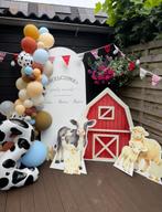 Backdrops & feestdecoratie huren – Themafeestje kinderen, Ophalen, Zo goed als nieuw, Verjaardag