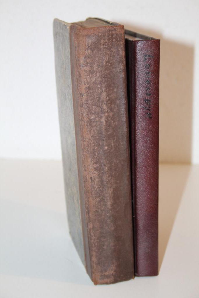 Beschouwinge van Zion door Lodensteyn (1839, H.P. Scholte), Boeken, Godsdienst en Theologie, Gelezen, Christendom | Protestants