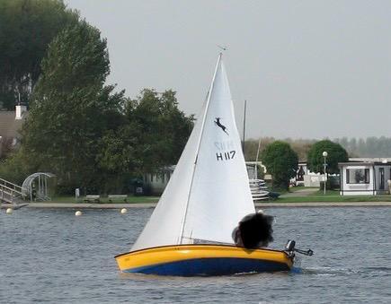 Impala open zeilboot, Watersport en Boten, Zeilen en Zeiltoebehoren, Gebruikt, Overige typen, 6 meter of meer, Ophalen