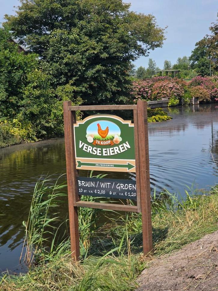 Heerlijke verse biologische eieren te koop bruin/wit/groen, Diversen, Levensmiddelen, Ophalen