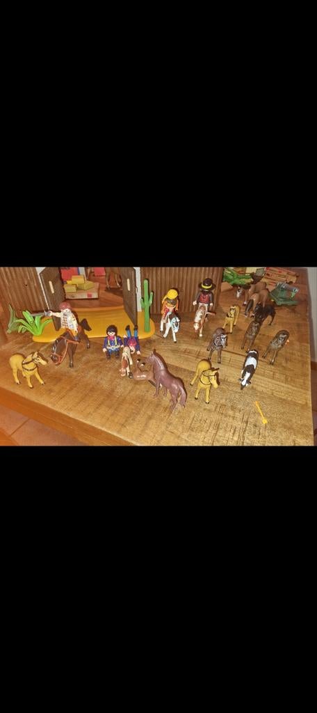 Playmobil Fort Compleet in Goede Staat, Ophalen, Zo goed als nieuw, Complete set