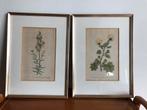 2 oude lijstjes met bloemenprent, Antiek en Kunst, Ophalen of Verzenden