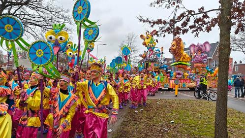 Loopgroep pakken Carnaval thema Jungle. 140 stuks, div maten, Kleding | Dames, Carnavalskleding en Feestkleding, Carnaval, Ophalen of Verzenden