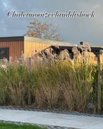 TE HUUR LUXE CHALET AAN ZEE IN DISHOEK 4 personen