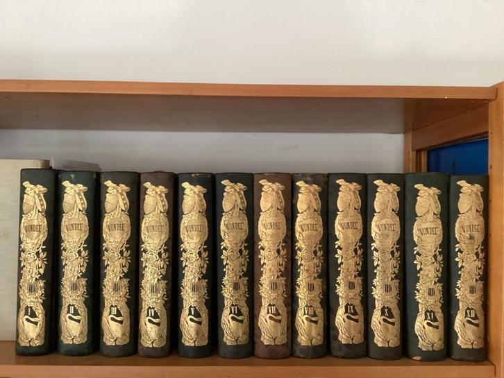 De werken van Vondel 12 delen, uitg. 1855 t/m 1869, Antiek en Kunst, Antiek | Boeken en Bijbels, Ophalen of Verzenden