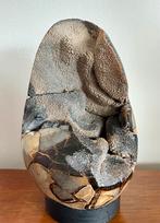 Septaria ‘drakenei’, Ophalen of Verzenden, Mineraal