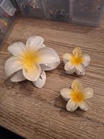 Nieuwe haarklemmen, Ophalen of Verzenden, Nieuw, Haarspeld