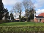Tuinhulp gezocht / onkruid bestrijder, Diensten en Vakmensen, Tuinmannen en Stratenmakers
