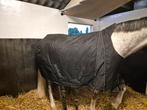 Mooie Waterdichte 300g winterdeken, Dieren en Toebehoren, Paarden en Pony's | Dekens en Dekjes, Ophalen of Verzenden, Zo goed als nieuw