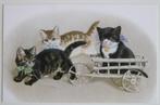 Nostalgische kaart; katten met karretje, Ophalen of Verzenden, 1980 tot heden, Ongelopen, Hond of Kat