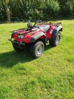 suzuki Runner 300cc, Motoren, Quads en Trikes