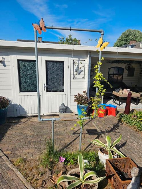 steigerbuis frame, Tuin en Terras, Overige Tuin en Terras, Zo goed als nieuw, Ophalen