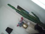 Cactus 170 cm hoog, Ophalen, 150 tot 200 cm, Volle zon, In pot