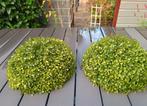 2 kunststof Buxus bolletjes, Ophalen of Verzenden, 20 m² of meer