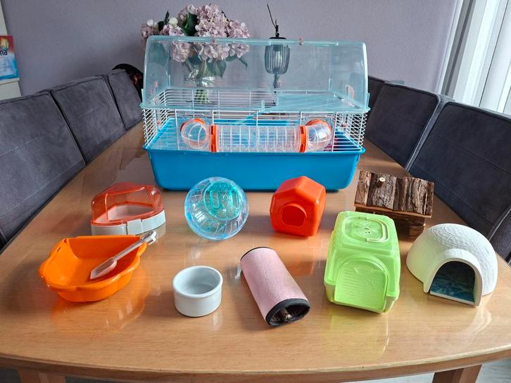 Hamsterkooi, Dieren en Toebehoren, Knaagdieren en Konijnen | Hokken en Kooien, Gebruikt, Kooi, Minder dan 60 cm, Minder dan 75 cm