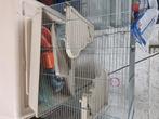 hamsterkooi met tas vol hooi eten enz, Dieren en Toebehoren, Knaagdieren en Konijnen | Hokken en Kooien, Ophalen, Kooi, 60 tot 90 cm