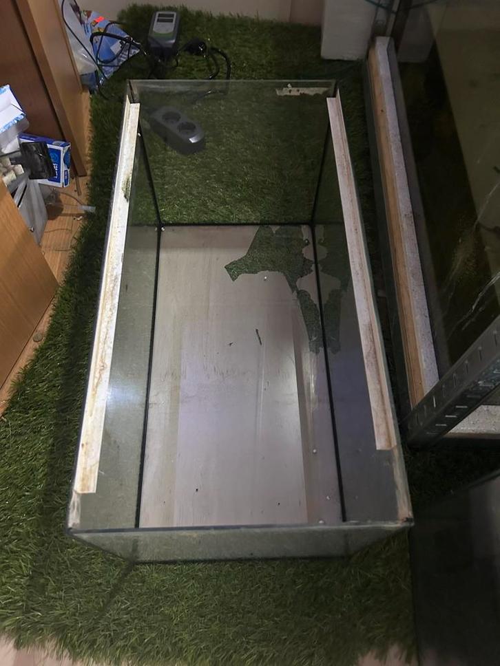 Aquarium kweek 4 stuks, Doe-het-zelf en Verbouw, Glas en Ramen, Zo goed als nieuw, Minder dan 80 cm, Ophalen of Verzenden