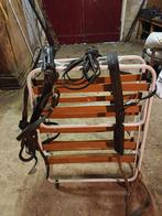 Te koop, Dieren en Toebehoren, Ophalen, Overige soorten