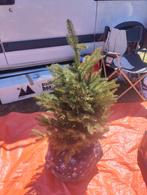 Kunst kerstboom 1m hoog, Tuin en Terras, Planten | Bomen, Ophalen of Verzenden