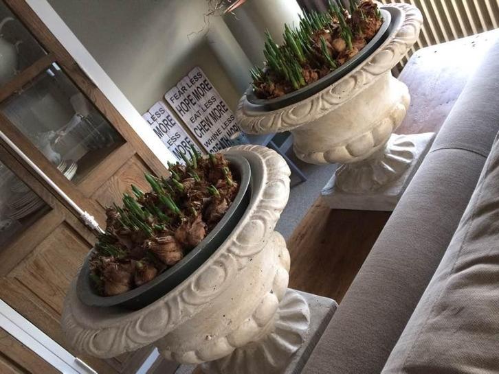 Louvre vaas, schaal, twee stuks beschikbaar, Antiek en Kunst, Antiek | Woonaccessoires, Ophalen