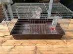 Konijn/cavia verblijf inclusief drinkfles, Kooi, Zo goed als nieuw, Cavia, Ophalen