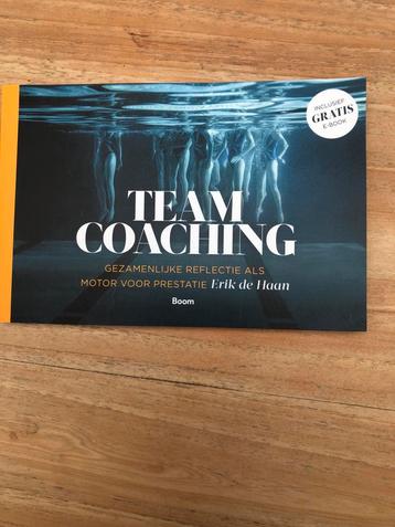 Team Coaching - Erik de Haan beschikbaar voor biedingen