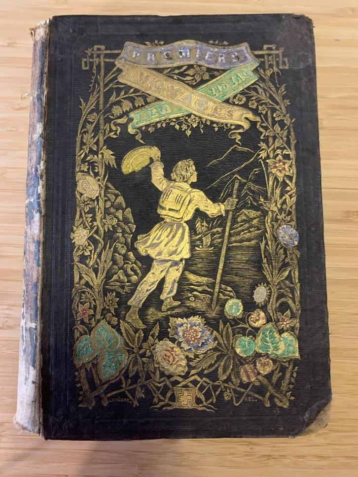 Premiers voyages en zigzag 1855 Rodolphe Töpffer, Antiek en Kunst, Antiek | Boeken en Bijbels, Ophalen of Verzenden