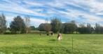 24-7 weidegang met schuilstal  voor pony/ paardje, Dieren en Toebehoren, Stalling en Weidegang, 1 paard of pony