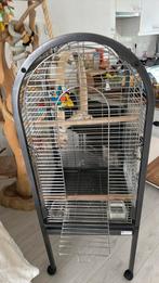 Vogelkooi, Ophalen of Verzenden, Zo goed als nieuw, Vogelkooi
