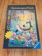 Ravensburger Color Star Line Puzzel - 1000 stukjes, Ophalen, 500 t/m 1500 stukjes, Zo goed als nieuw, Legpuzzel