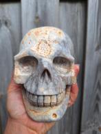 UNIEK // grote skull koraalsteen 2 kg, Verzamelen, Mineralen en Fossielen, Verzenden