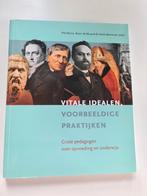Vitale idealen, voorbeeldige praktijken, Ophalen of Verzenden, Zo goed als nieuw