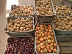 Verse oogst: Aardappelen en uien, Diversen, Ophalen