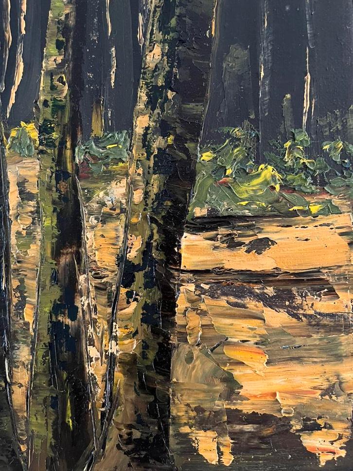 Prachtig olieverf op doek bosgezicht in lijst Daan Langeweg, Antiek en Kunst, Kunst | Schilderijen | Klassiek, Ophalen of Verzenden