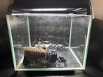 Klein aquarium 30x25x25 cm – gebruikt, in goede staat, Dieren en Toebehoren, Vissen | Aquaria en Toebehoren, Ophalen, Gebruikt