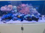 Eheim incpiria 400, Dieren en Toebehoren, Vissen | Aquaria en Toebehoren, Ophalen, Gebruikt