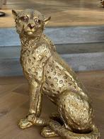 grote goud kleurige leopard, Ophalen, Rond, Minder dan 100 cm