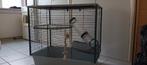 te koop mooie kooi voor knaagdiertjes, Dieren en Toebehoren, Ophalen, Kooi, 60 tot 90 cm, Hamster