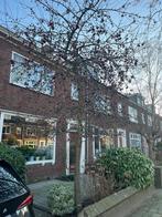 Malus boom, Tuin en Terras, Ophalen, Lente, Volle zon, Overige soorten