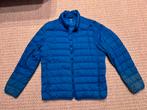 Uniqlo donsjack - Maat L, Kleding | Heren, Ophalen of Verzenden, Gedragen, Maat 52/54 (L), Blauw