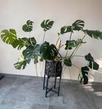 Zwarte rotan planbak/mand bloempot met standaard, Ophalen, Zo goed als nieuw, Rond