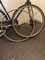 Batavus OldDutch 28 inch wielen, Ophalen of Verzenden, Batavus.