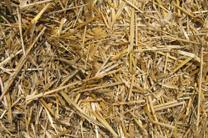 tarwestro 5kg, Dieren en Toebehoren, Stalling en Weidegang, Stalling, Weidegang, 1 paard of pony