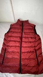 Prada body warmer rood, Kleding | Heren, Bodywarmers, Ophalen, Zo goed als nieuw, Rood