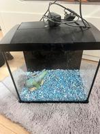 Superfish 30 starter aquarium, Gebruikt, Ophalen of Verzenden, Leeg aquarium