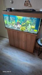 Aquarium juwel 180, Ophalen, Zo goed als nieuw, Gevuld zoetwateraquarium