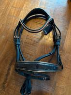 Hoofdstel Horsegear, Dieren en Toebehoren, Paarden en Pony's | Hoofdstellen en Tuigage, Verzenden, Nieuw, Dressuur