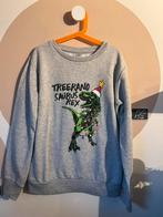 Dino kersttrui 146/152, Gebruikt, Ophalen of Verzenden, Jongen, Trui of Vest
